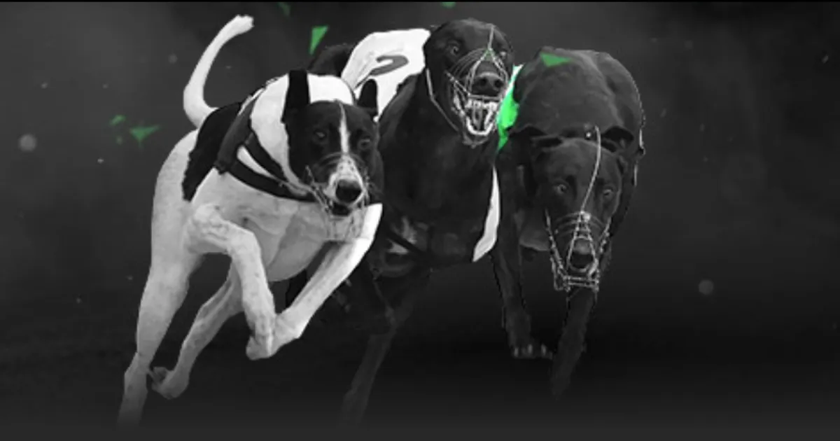 姆巴佩非独,木难支,埃里克森丹,广州赛马会,广州赛马,赛马俱乐部,赛马资讯